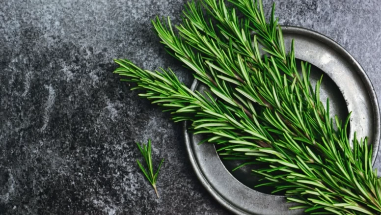 Biberiye çocukların zihnini nasıl etkiliyor?