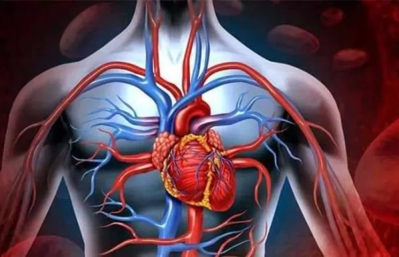 Kanınızı bu otla yenileyin