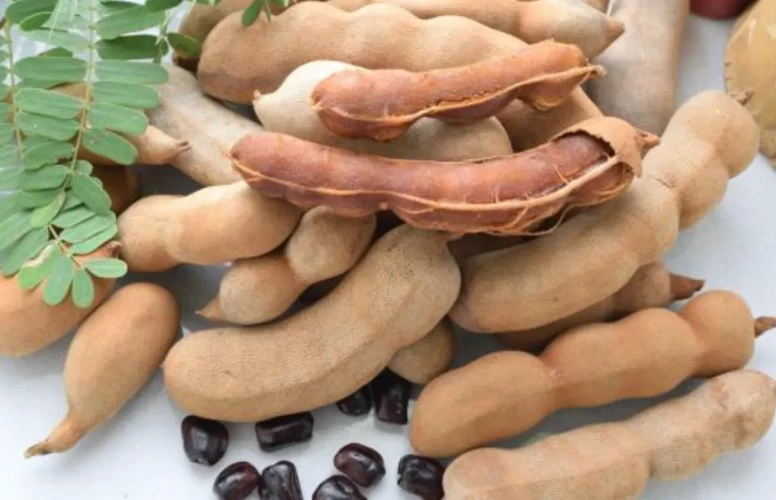 Demirhindinin şaşırtan etkisi herkesi mest etti