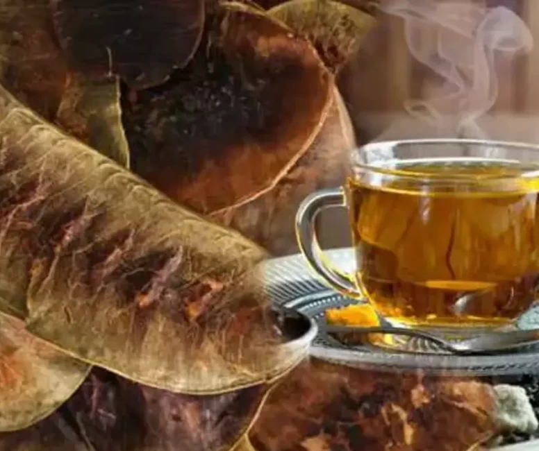 Açlık otunun bilinmeyen etkileri ve kullanımı