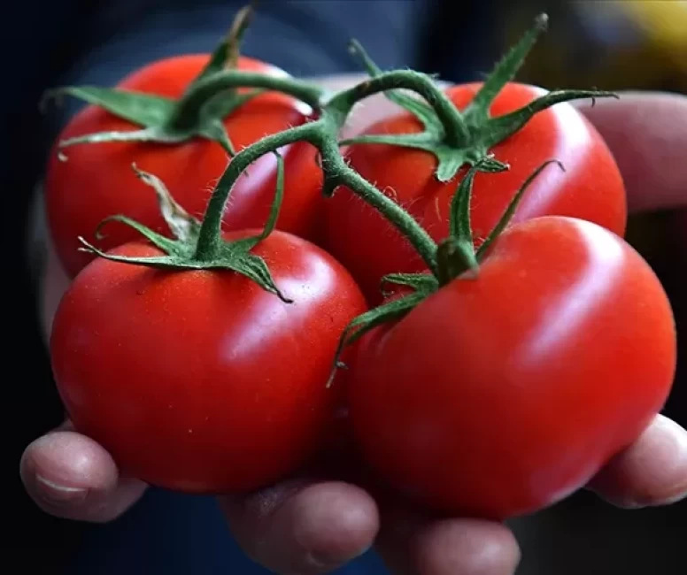 Kansızlıkla mücadelede C vitamini ve antioksidan gücü