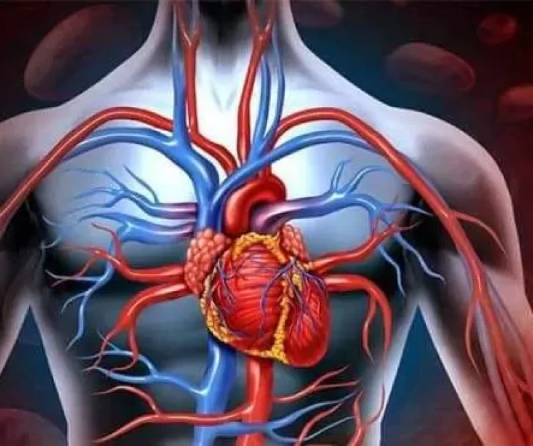 Kanınızı bu otla yenileyin