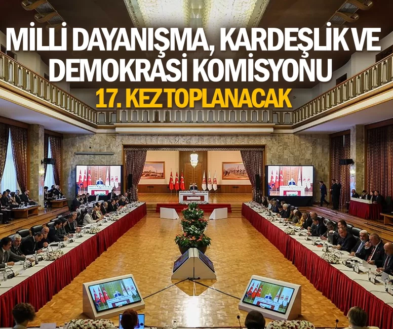 Milli Dayanışma, Kardeşlik ve Demokrasi Komisyonu 17. kez toplanacak