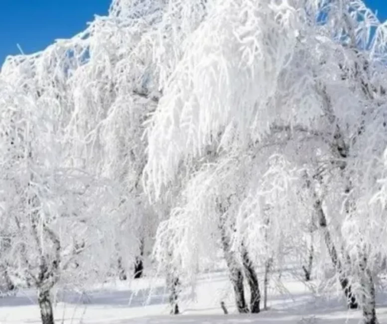 En sert soğuklar için kritik tarihler