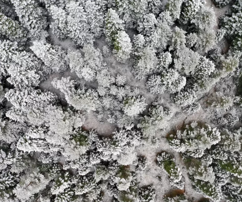 Ilgaz Dağı'ndaki kar ve sis havadan görüntülendi
