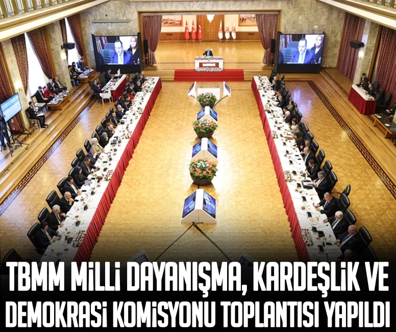 TBMM Milli Dayanışma, Kardeşlik ve Demokrasi Komisyonu'nun 19'uncu toplantısı yapıldı