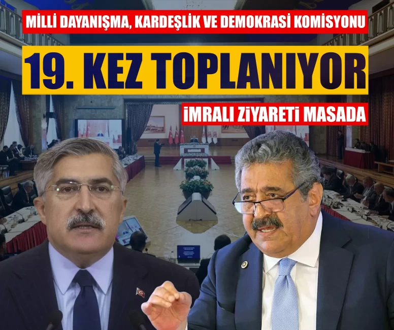 Milli Dayanışma, Kardeşlik ve Demokrasi Komisyonu 19. kez toplanıyor