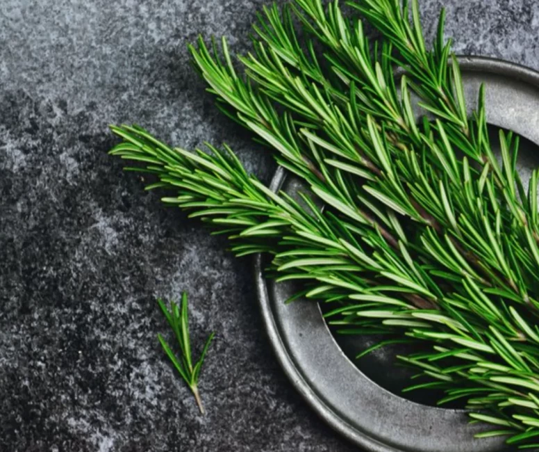 Biberiye çocukların zihnini nasıl etkiliyor?