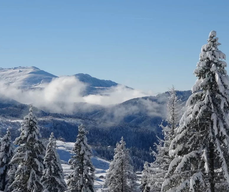 Ordu'nun Çambaşı Yaylası beyaza büründü