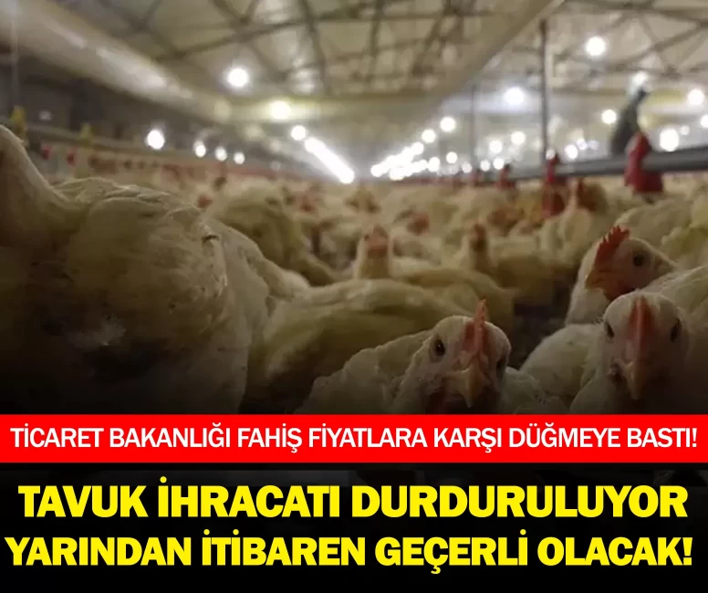 Tavuk ihracatı durduruluyor