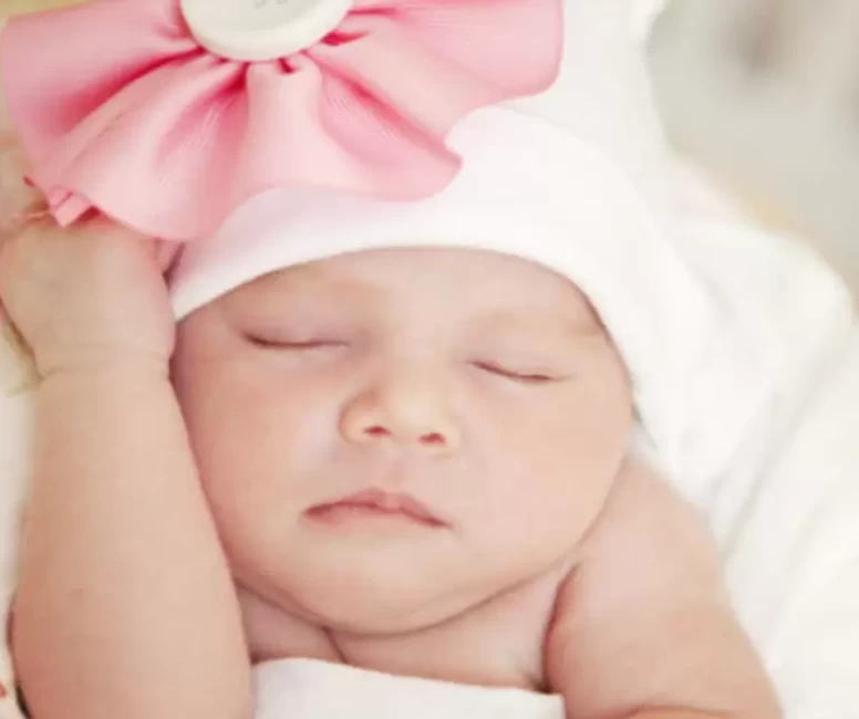 Hifa'nın anlamı nedir?