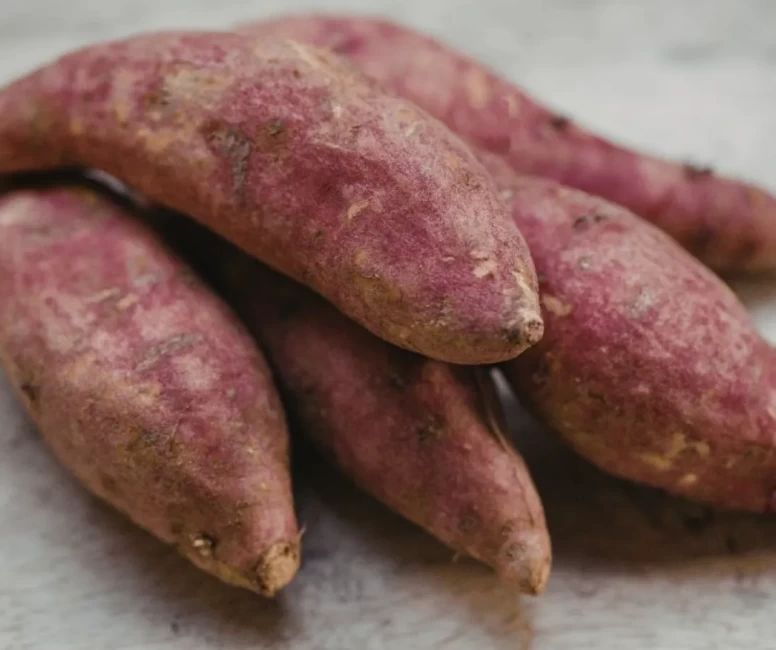 Beta-karoten ve karotenoid kalkanı