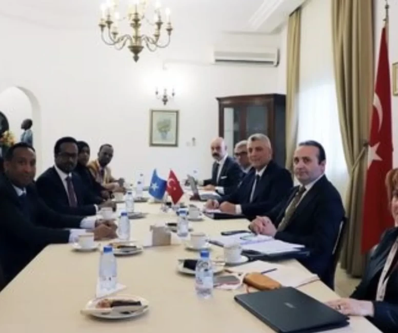 Bakan Bolat Kamerun’da Somali ile masaya oturdu