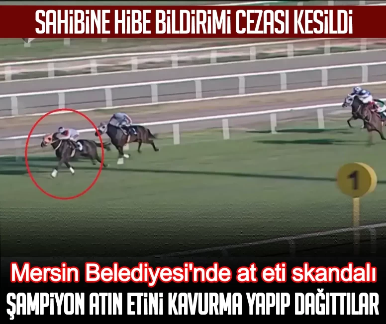 Mersin Belediyesi'nde at eti skandalı: Şampiyon atın etini kavurma yapıp dağıttılar