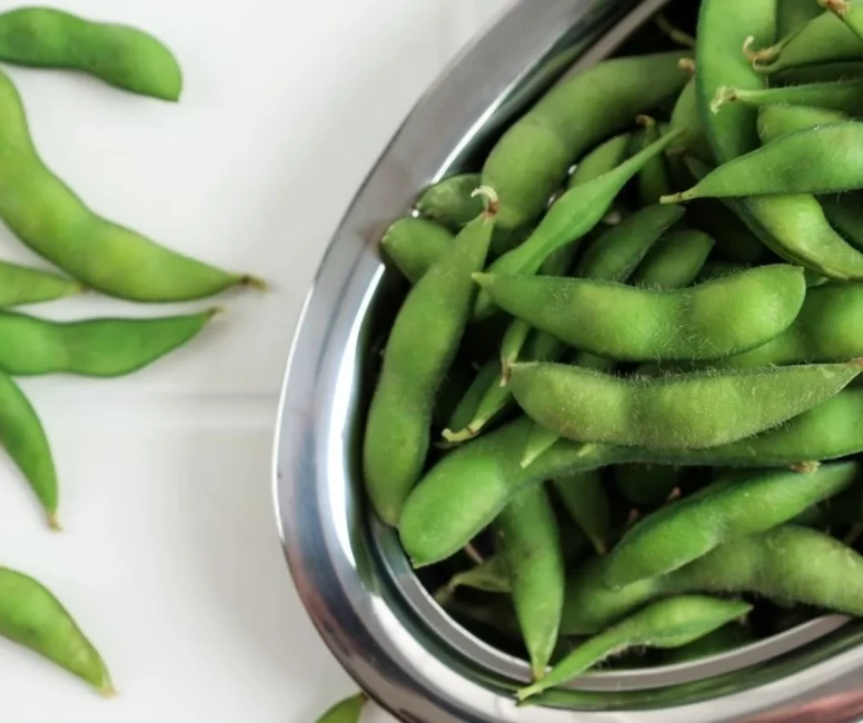 Dondurucuda taze fasulye saklama rehberi