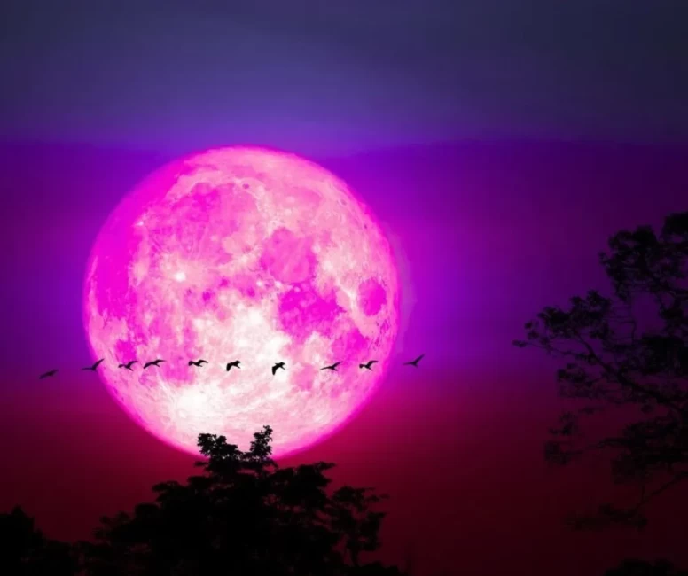 İsmi sizi yanıltmasın! Pembe dolunay hakkında bilmeniz gereken 5 gerçek