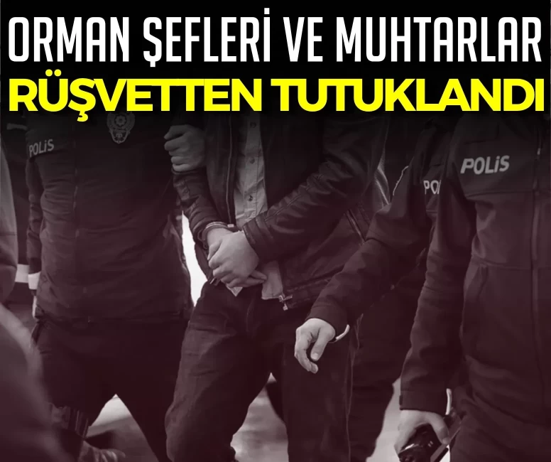 Kocaeli merkezli 5 ilde dev yolsuzluk operasyonu! Orman şefleri ve muhtarlar rüşvetten tutuklandı