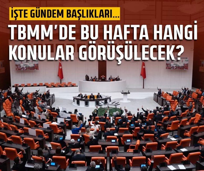 TBMM'de kritik hafta