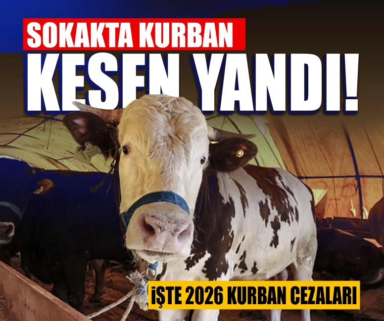 Sokakta kurban kesen yandı!