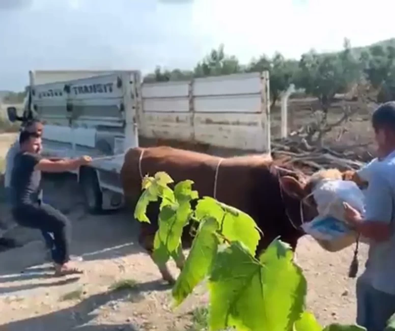 Kameralar kayıttayken vatandaşı tekmeledi