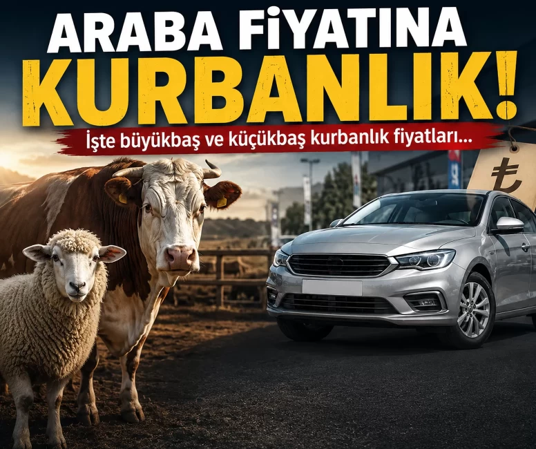 Araba fiyatına kurbanlık!