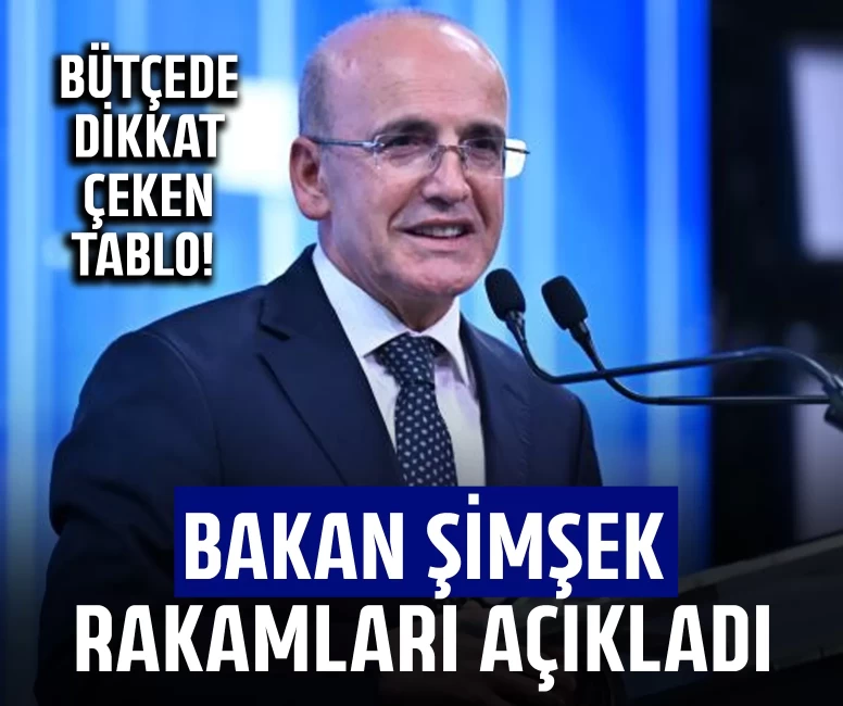 Bütçede dikkat çeken tablo!