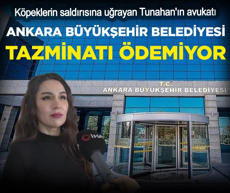 Köpeklerin saldırısına uğrayan Tunahan'ın avukatı: Ankara Büyükşehir Belediyesi tazminatı ödemiyor