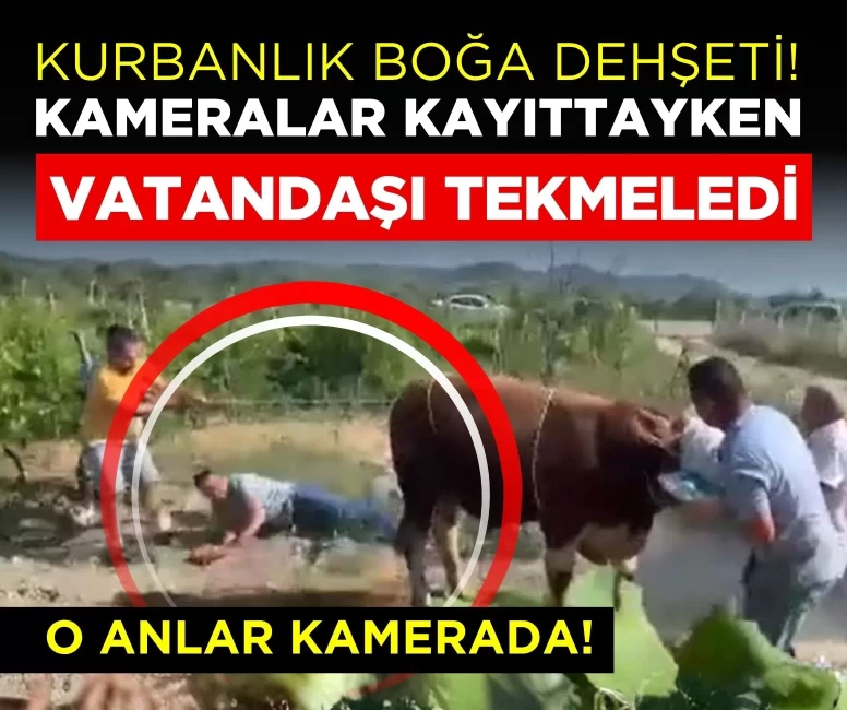 Kameralar kayıttayken vatandaşı tekmeledi