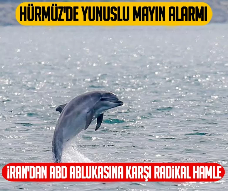 Hürmüz'de yunuslu mayın alarmı: İran'dan ABD ablukasına karşı radikal hamle
