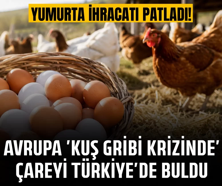 Türkiye yumurta ihracatında rekor artış