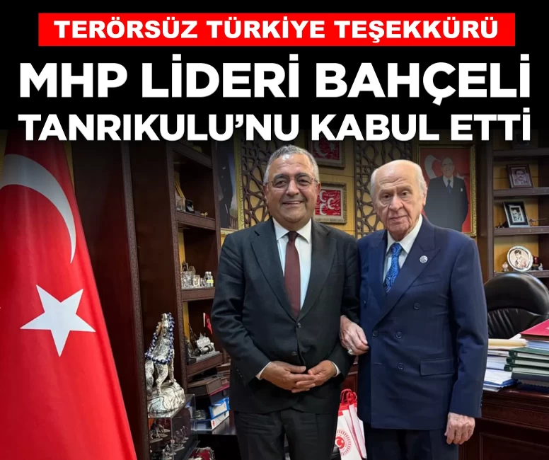 MHP Lideri Bahçeli, Sezgin Tanrıkulu'nu kabul etti