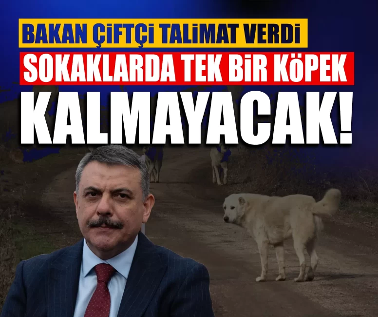 Bakan Çiftçi talimat verdi: Sokaklarda tek bir köpek kalmayacak!