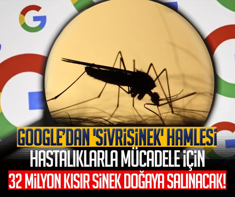 Google’dan 'sivrisinek' hamlesi: Hastalıklarla mücadele için 32 milyon kısır sinek doğaya salınacak!