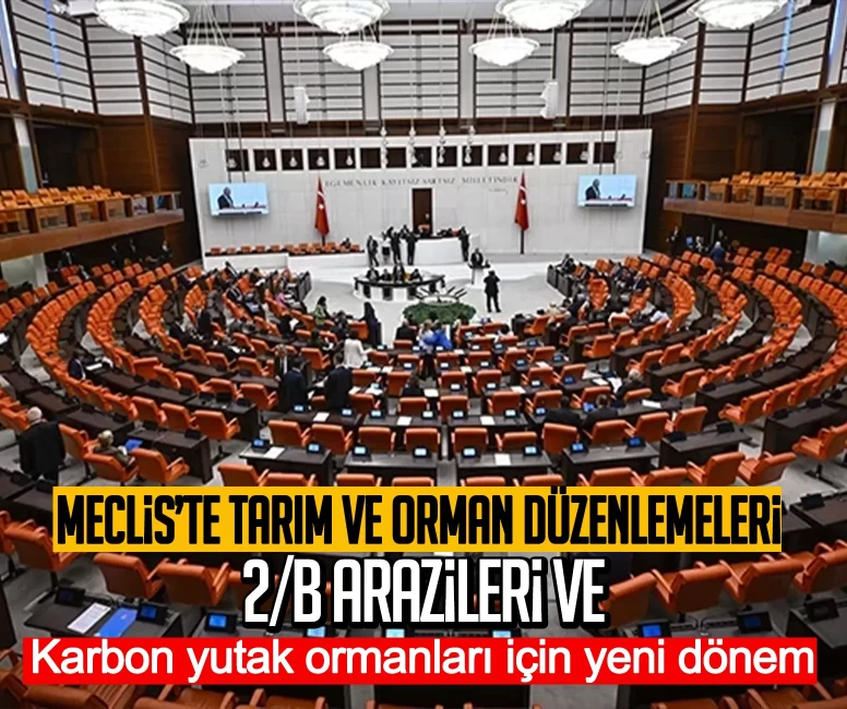 Meclis’te tarım ve orman düzenlemeleri: 2/B arazileri ve karbon yutak ormanları için yeni dönem