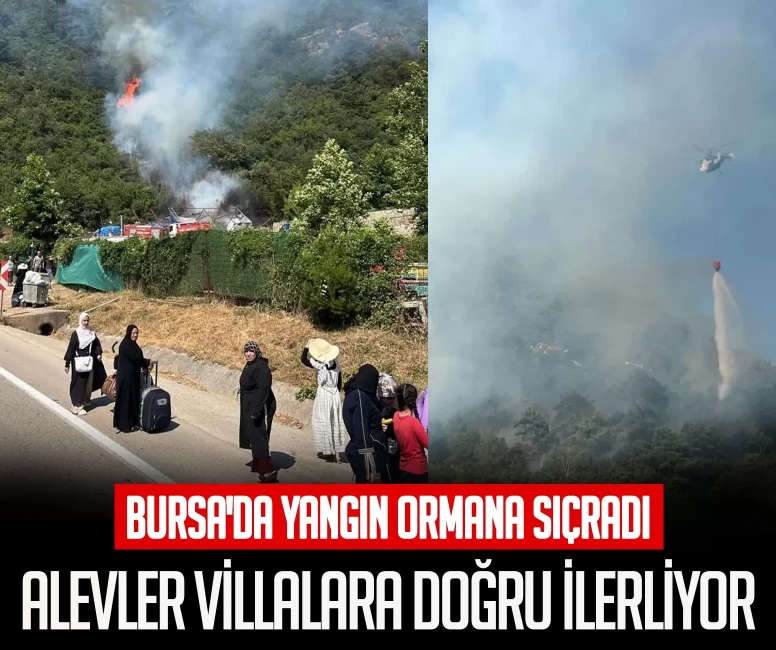 Bursa'da yangın ormana sıçradı! Alevler villalara doğru ilerliyor