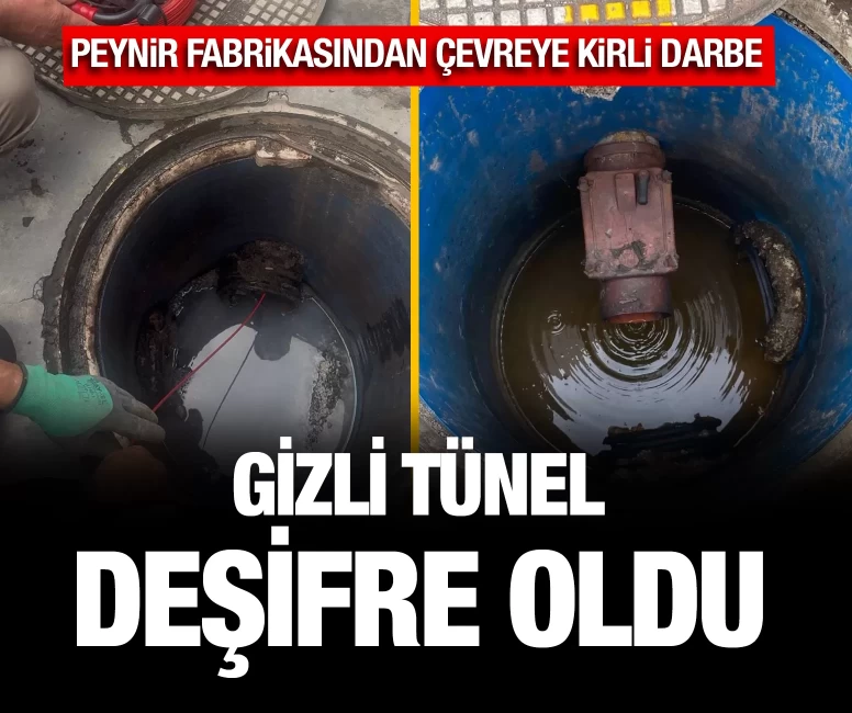 Peynir fabrikasından çevreye kirli darbe