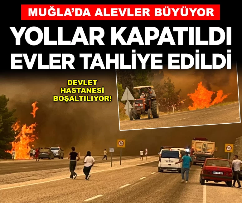 Muğla'da yangın ormanlık alana sıçradı! Alev rüzgarın etkisiyle büyüyor
