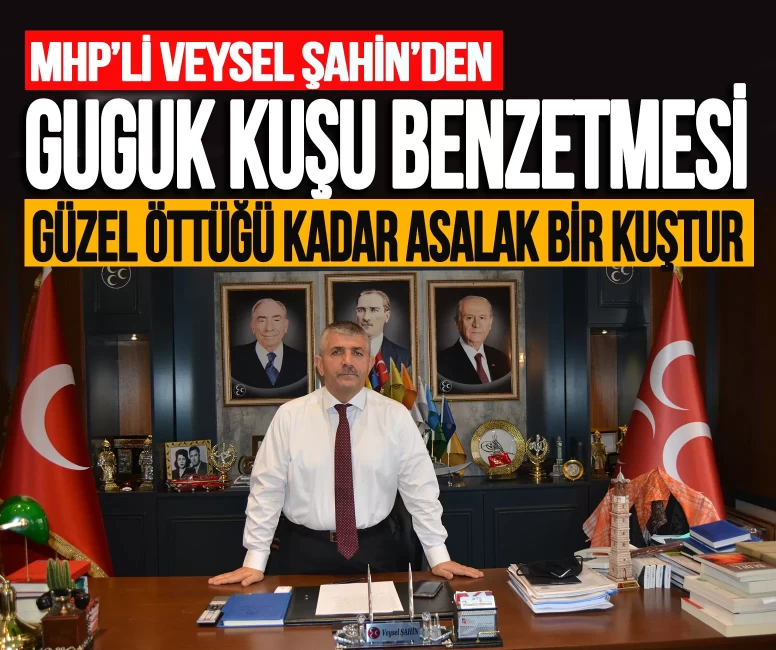 MHP'li Veysel Şahin'den Dervişoğlu'na guguk kuşu benzetmesi: 'Güzel öttüğü kadar da asalak bir kuştur'