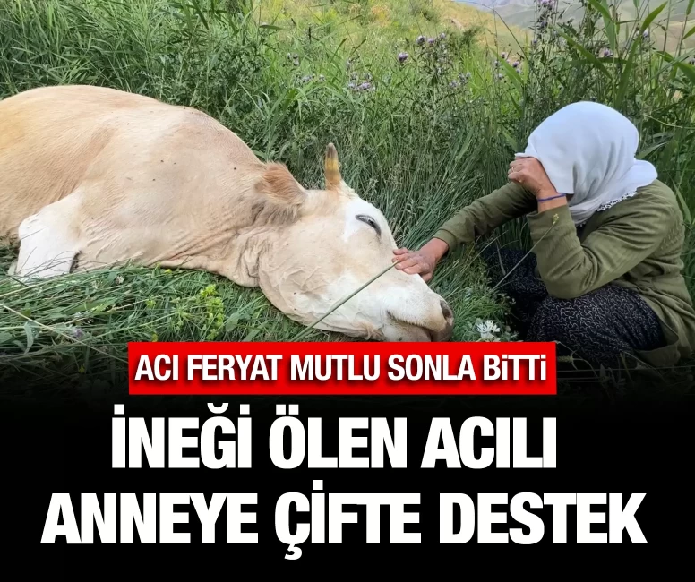 İneği ölen acılı anneye çifte destek