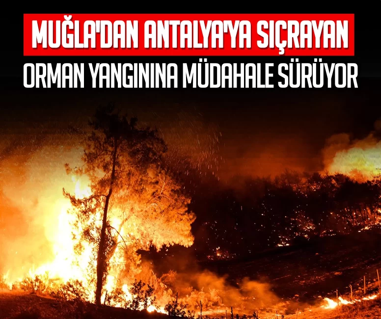 Muğla'dan Antalya'ya sıçrayan orman yangınına müdahale sürüyor