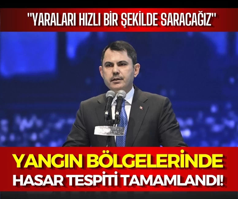 Bakan Kurum: Orman yangınlarından etkilenen 5 ilde hasar tespiti tamamlandı