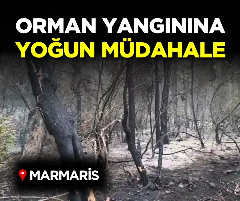 Marmaris’te orman yangınına yoğun müdahale: 17 saatte alevlerin enerjisi düşürüldü