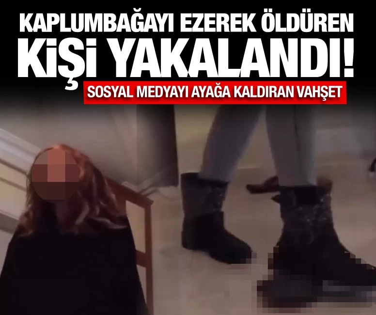 Kaplumbağayı botuyla ezerek öldüren kişi gözaltına alındı