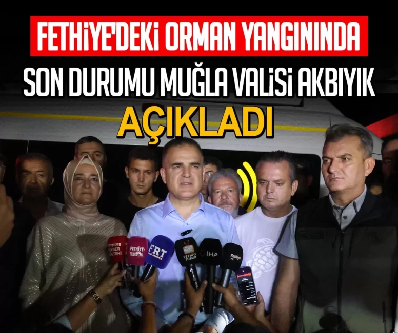 Fethiye'deki orman yangınında son durumu Muğla Valisi İdris Akbıyık açıkladı