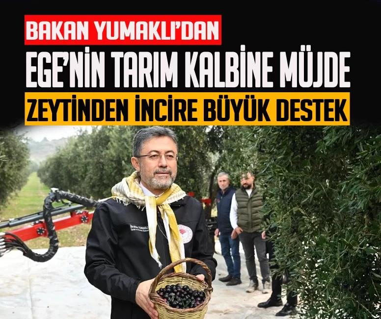 Zeytinden incire büyük destek! Bakan Yumaklı Aydın'a müjdeyi verdi