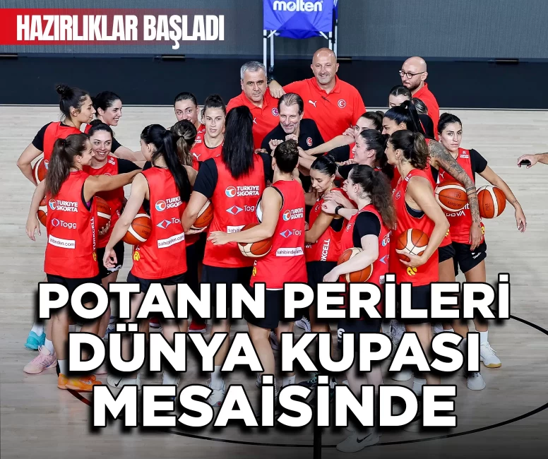Potanın Perileri, Dünya Kupası mesaisine başladı