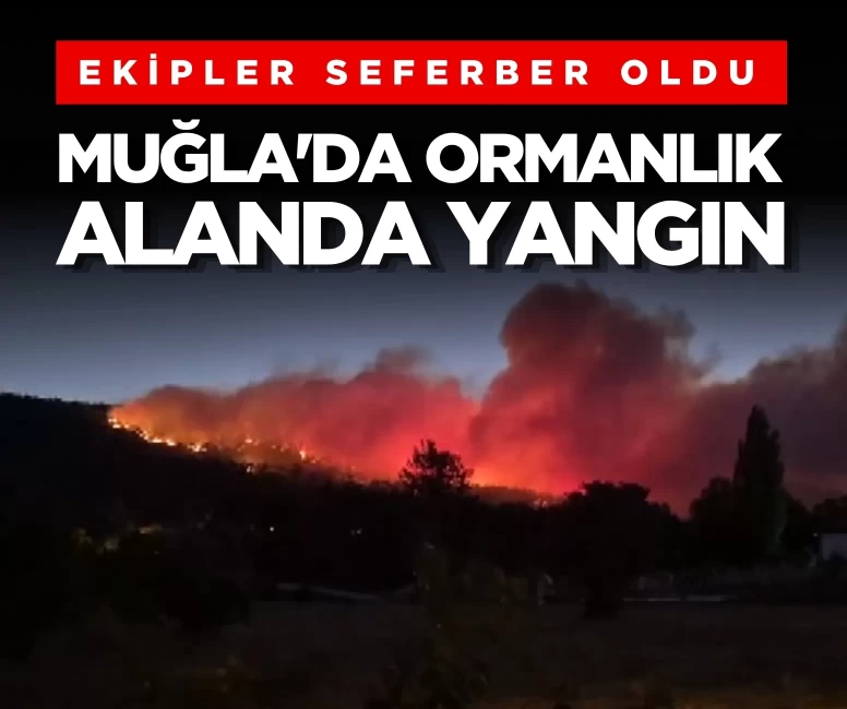 Muğla'da orman yangını: Ekipler alevleri kontrol altına almaya çalışıyor
