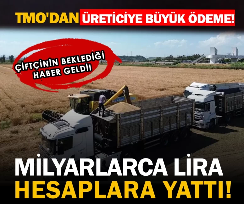TMO'dan çiftçiye milyarlık ödeme! paralar hesaplara aktarıldı