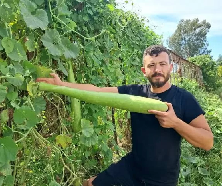 Denemek için ekti, boyu 1 metreyi aştı!