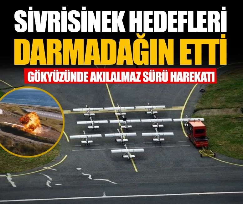 SİVRİSİNEK hedefleri darmadağın etti